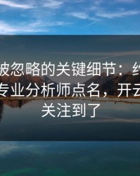 世界杯被忽略的关键细节：约基奇的动作被专业分析师点名，开云官网也关注到了