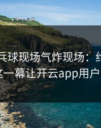 WTT乒乓球现场气炸现场：约基奇与巴黎的这一幕让开云app用户讨论炸了