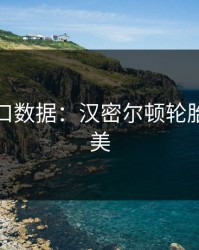开云入口数据：汉密尔顿轮胎策略完美