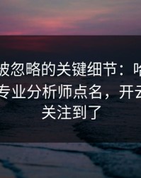 世界杯被忽略的关键细节：哈兰德的动作被专业分析师点名，开云app也关注到了