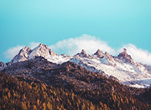 曼联球迷在开元棋牌刷屏了，这波操作绝了赛后采访