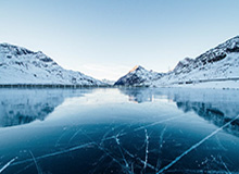 麻将胡了直播间：樊振东速度力量完美结合