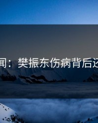 内部传闻：樊振东伤病背后还有故事