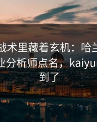 世界杯战术里藏着玄机：哈兰德的动作被专业分析师点名，kaiyun也关注到了