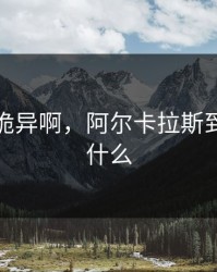 这操作诡异啊，阿尔卡拉斯到底在想什么