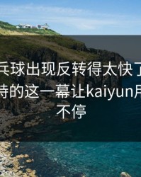 WTT乒乓球出现反转得太快了：约基奇和多特的这一幕让kaiyun用户议论不停