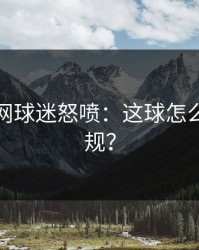 开云官网球迷怒喷：这球怎么不吹犯规？